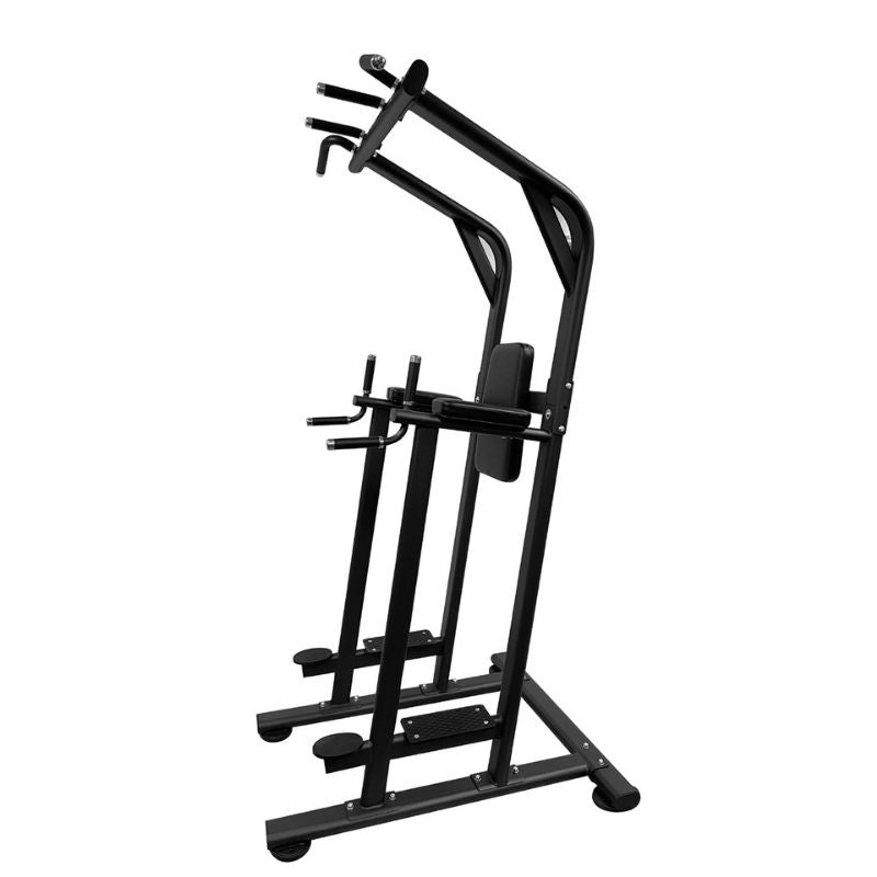 TAG Fitness VKR Chip/Dip Power Tower